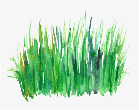 Over 1,158,029 transparent png shared by our. Watercolor Grass, Watercolor Clipart, Grass Clipart, Green ...