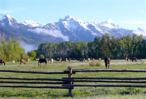 Northwest Wyoming Ranch Vacations The Dude Ranchers Association