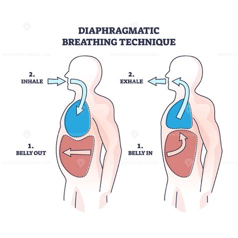 Diaphragmatic Breathing Technique With Inhale And Exhale Outline Diagram Vectormine