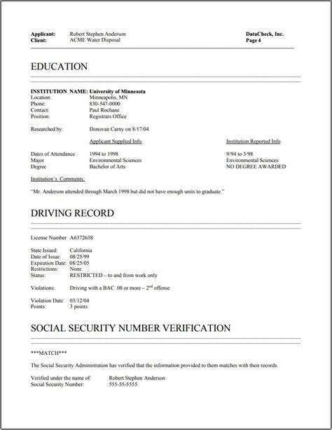 Top 47 Imagen Accurate Background Check Sample Report