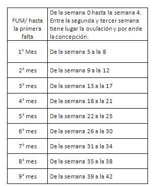 Cuanto tiempo tarda en desaparecer un hematoma retrocorial. cuantos meses son 27 semanas - Bebés de Octubre 2014 ...