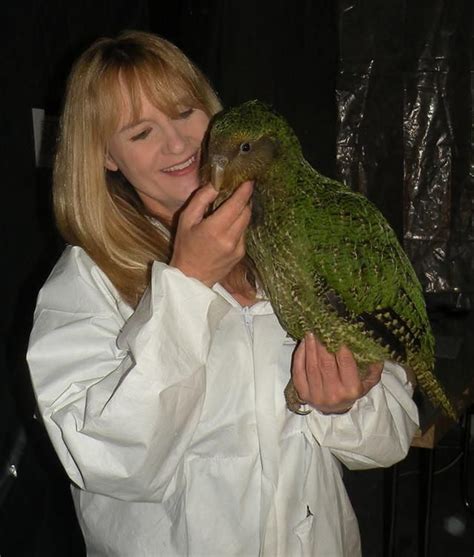 Meet The Kakapo An Adorable Dog Like Bird That New Zealanders Are