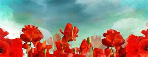 Springtime Red Poppies Digital Painted Banner Stock Illustration