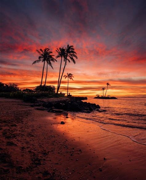 Pin By Chels On Tree Sunset Beach Sunset Scenic