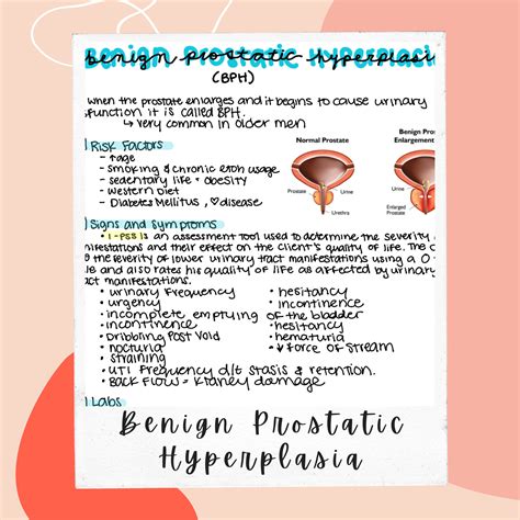 Benign Prostatic Hyperplasia Nursing Notes Etsy