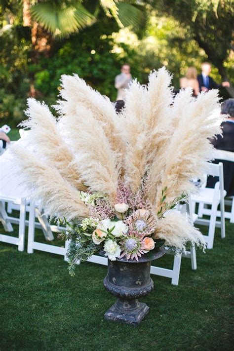 The best grass for cats what to look for in a cat grass what type of grass is best for cats? Wedding Trend: 30 Boho Pampas Grass Wedding Ideas - Page 5 ...