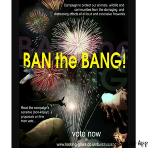 Ban Fireworks Do Not Support This Ignorant Tradition Fireworks