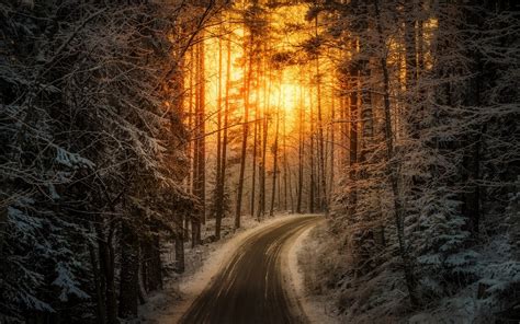 Nature Landscape Sunrise Sunlight Road Winter Forest Snow
