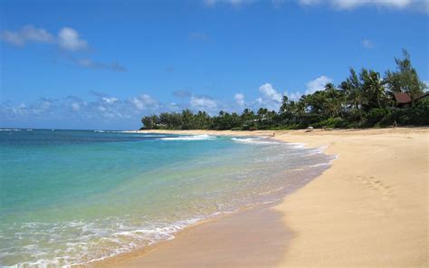 Sunset Beach Oahu Hawaii World Beach Guide