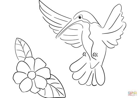 Click on any birds picture above to start coloring. Hummingbird coloring page | Free Printable Coloring Pages