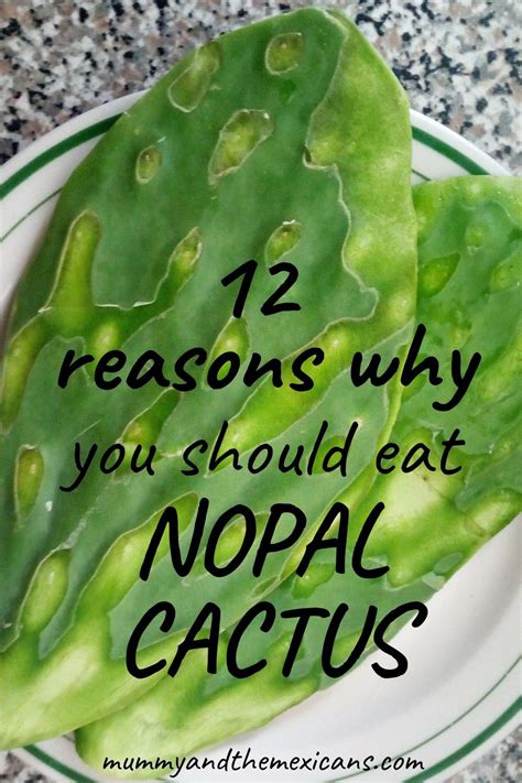 Our demonic cactus fruits have another surprise in store to prevent you from enjoying their deliciousness. 12 Amazing Health Benefits of the Nopal Cactus and how to ...