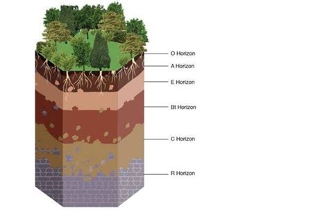 Tanah Pengertian Tanah Jenis Jenis Tanah Profil Tanah Tekstur Mobile