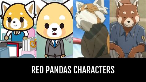 Red Pandas Characters Anime Planet