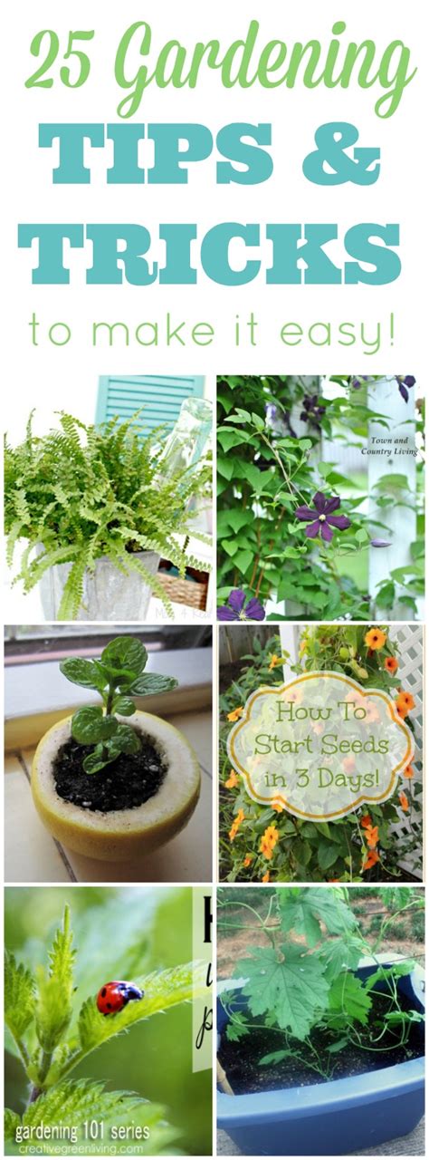 25 Amazing Gardening Tips And Tricks Mom 4 Real