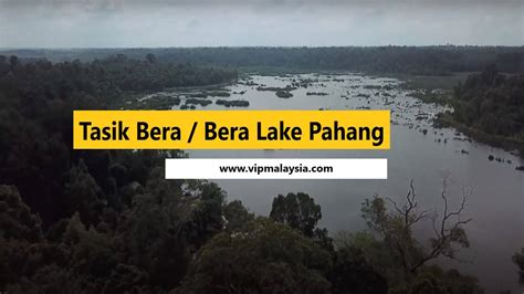 Bera Lake Malaysia 12 Best Aktiviti Di Tasik Bera Pahang