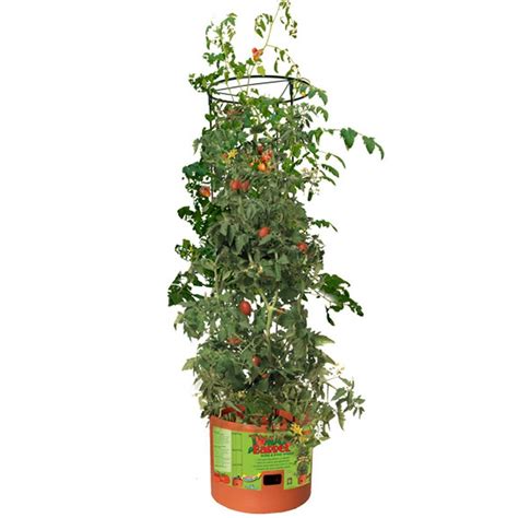 New Hydrofarm Tomato Barrel Pot Garden Planter W 4 Foot Trellis Tower
