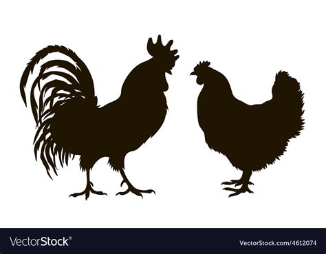 silhouette of chickens royalty free vector image