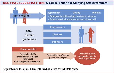 Sex Differences In Cardiovascular Consequences Of Hypertension Obesity And Diabetes Jacc