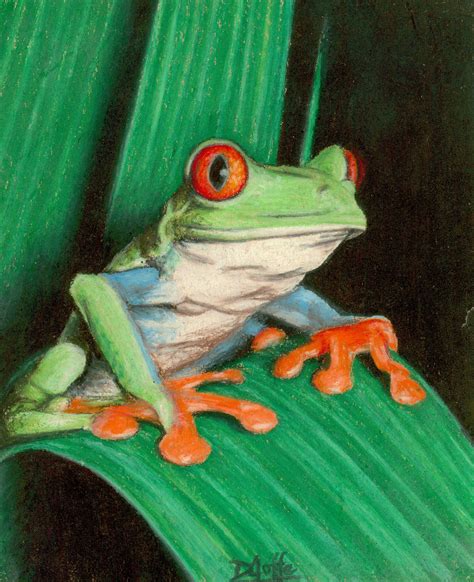 Pin By Ellen Bounds On Sketches Of Frogs Sketches Animals Frog