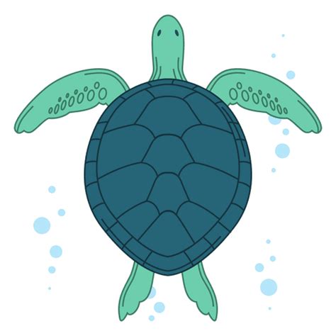 Sea Turtle Illustration Transparent Png And Svg Vector File