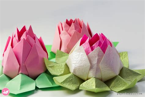 Simple Origami Lotus Flower Instructions Best Flower Site