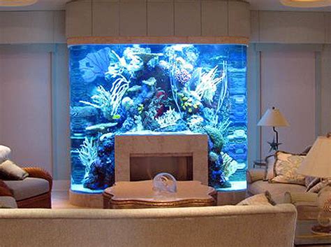 These realistic unique acrylic aquarium can be customized as gifts. 20 Unusual Places For Aquariums In Your Home.