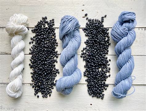 Natural Dyeing How To Dye Yarn With Black Beans The Knotted Nest