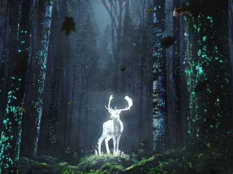 Wallpaper Forest Wild Deer Glow Fantasy Art Desktop Wallpaper Hd