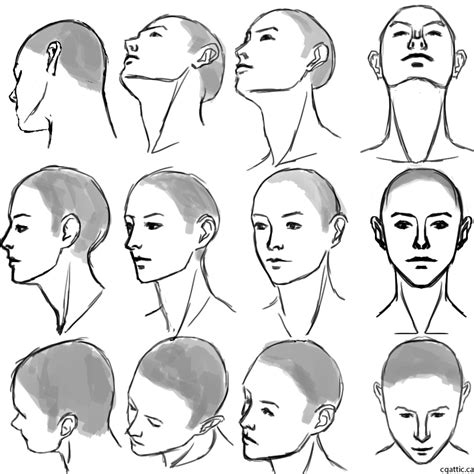Head Positions Drawing At Getdrawings Free Download