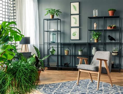 Le piante finte da esterno sono un ottimo rimedio per tutte le più belle piante da interno pendenti per trasformare la tua casa in un piccolo giardino sospeso! 10 piante che non hanno bisogno di luce - Ecoo.it