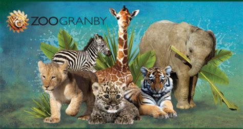 Laissez Passer Pour 4 Personnes Pour Visiter Le Zoo De Granby