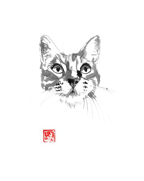 Cat Face Drawing By Pechane Sumie Fine Art America