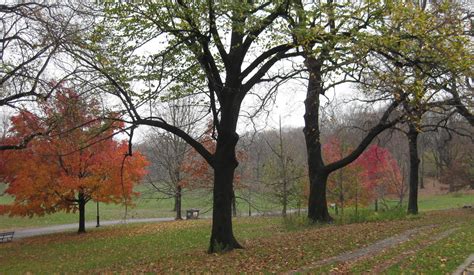 Prospect park alliance sustains, restores and advances prospect park to benefit the diverse communities we serve, in partnership with the city of new york. Enjoy the beautiful sights at Prospect Park, New York ...