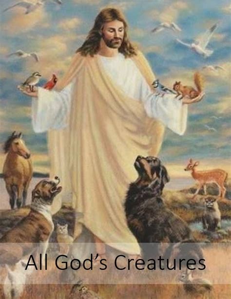 All God S Creatures Pleasant Grove United Methodist Church
