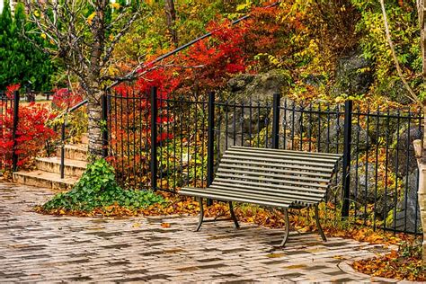 Hd Wallpaper Autumn Leaves Trees Bench Park Fall Wallpaper Flare