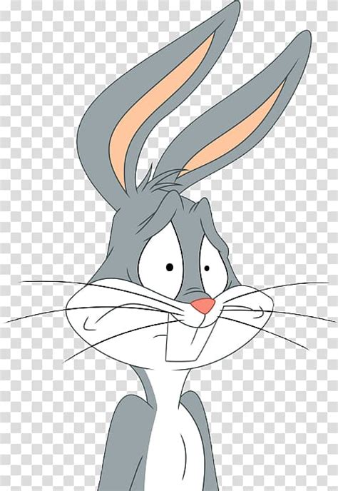 Free Bugs Bunny Daffy Duck Lola Bunny Looney Tunes Animated Cartoon
