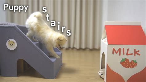 Diy Puppy Stairs From Cardboard Youtube