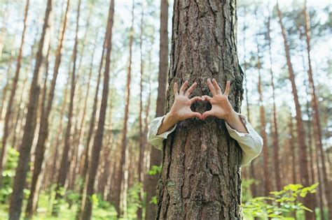 Hands Of A Young Woman Hug A Tree In The Forest And Show A Sign Of