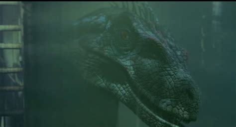 Jurassic park iii is darker and faster than its predecessors, but that doesn't quite compensate for the franchise's continuing creative decline. RECAP: Jurassic Park III - The Exploder: Action Movie Recaps
