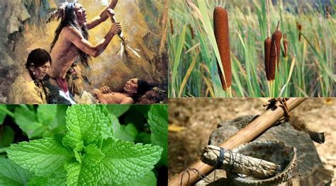 Don’t underestimate how important the oil is in a car because it plays a vital part in the running of the motor. 10 Plants Native Americans Used to Cure Everything And