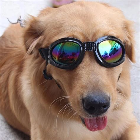 Summer Dog Sunglasses Windproof Pet Eye Wear Protection Goggle Multi