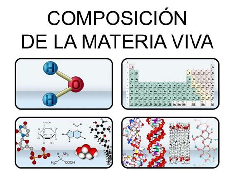 Composicion Quimica De La Materia Viva Organica E Inorganica Material