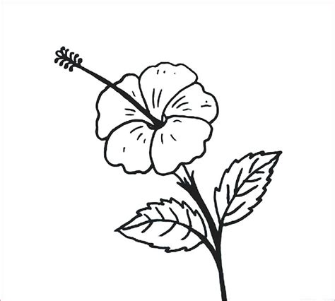 Sketsa Bunga Melati