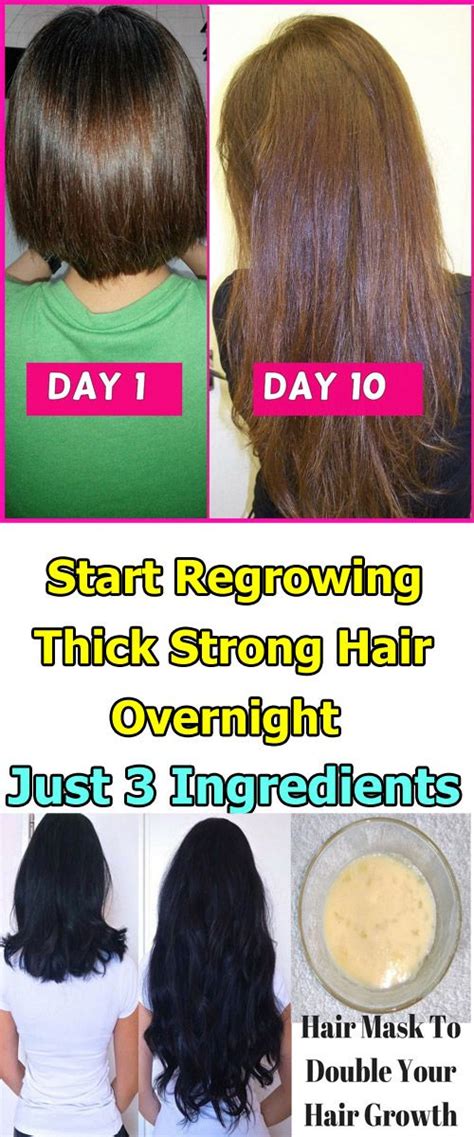 Between natural oils, they include both rosemary and olive oil to nourish hair in depth, moisturise and promote increases in length. Start Regrowing Thick, Strong Hair Overnight With Just 3 ...