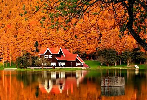 Rest Fiery River Cottage Forest Lake Foliage Mirrored Shore Autumn Fall Season Nature Pretty