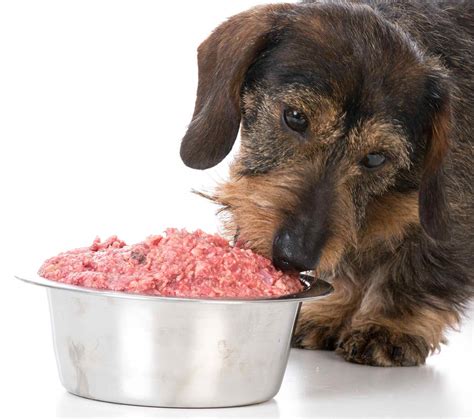 A raw dog food diet typically consists of: Safety Considerations: Raw Food Diet For Dogs