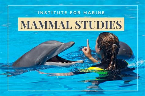 The Institute For Marine Mammal Studies