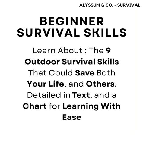 Beginner Survival Skills Survival Survival Kit Survival Kit Bag