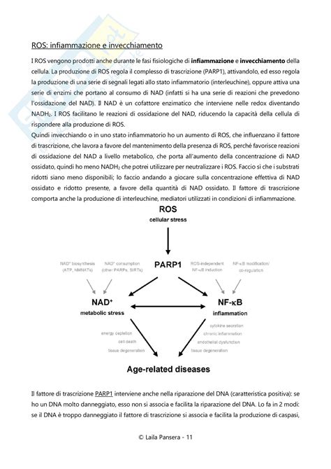 Dopo aver letto il libro biochimica degli alimenti e della nutrizione di ivo cozzani, enrico dainese ti invitiamo a lasciarci una recensione qui sotto: Biochimica degli alimenti e della nutrizione, parte 2 ...