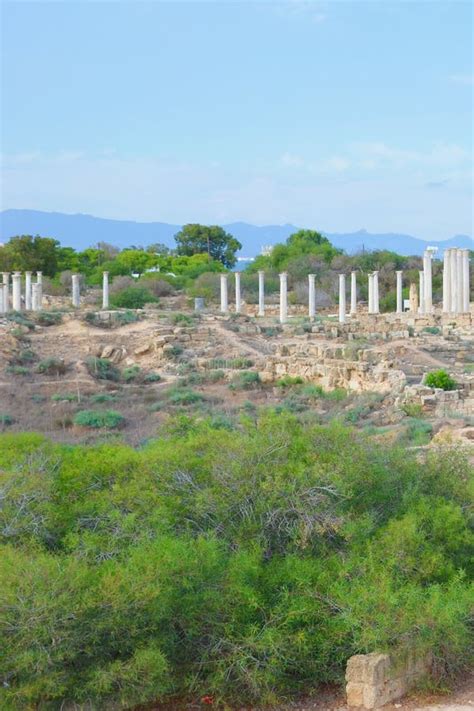 Vertical Picture Of Famous Salamis Ruins In Cyprus Salamis Was Ancient
